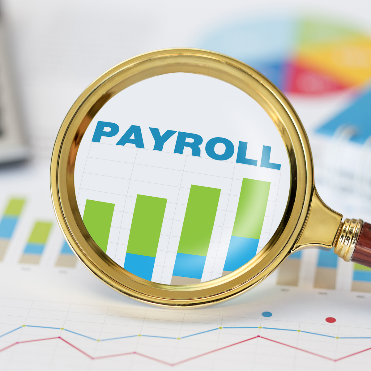 Payroll Solutions